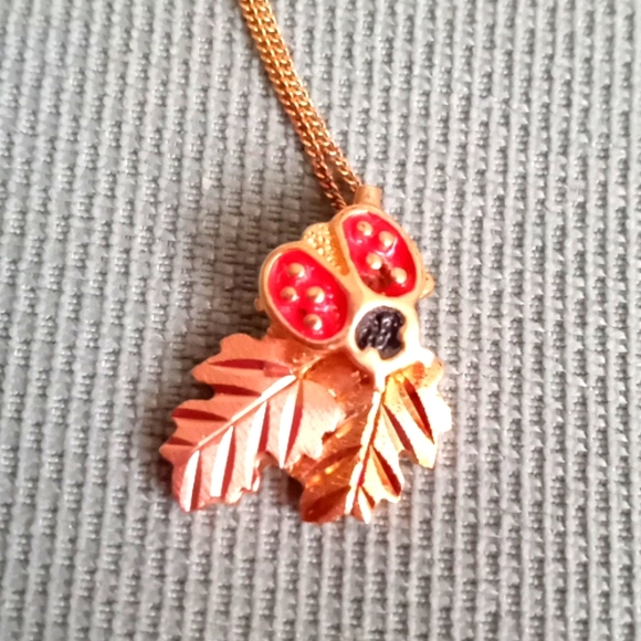 BLACK HILLS GOLD LADYBUG ๐ AND LEAVES NECKLACE - Picture 3 of 9